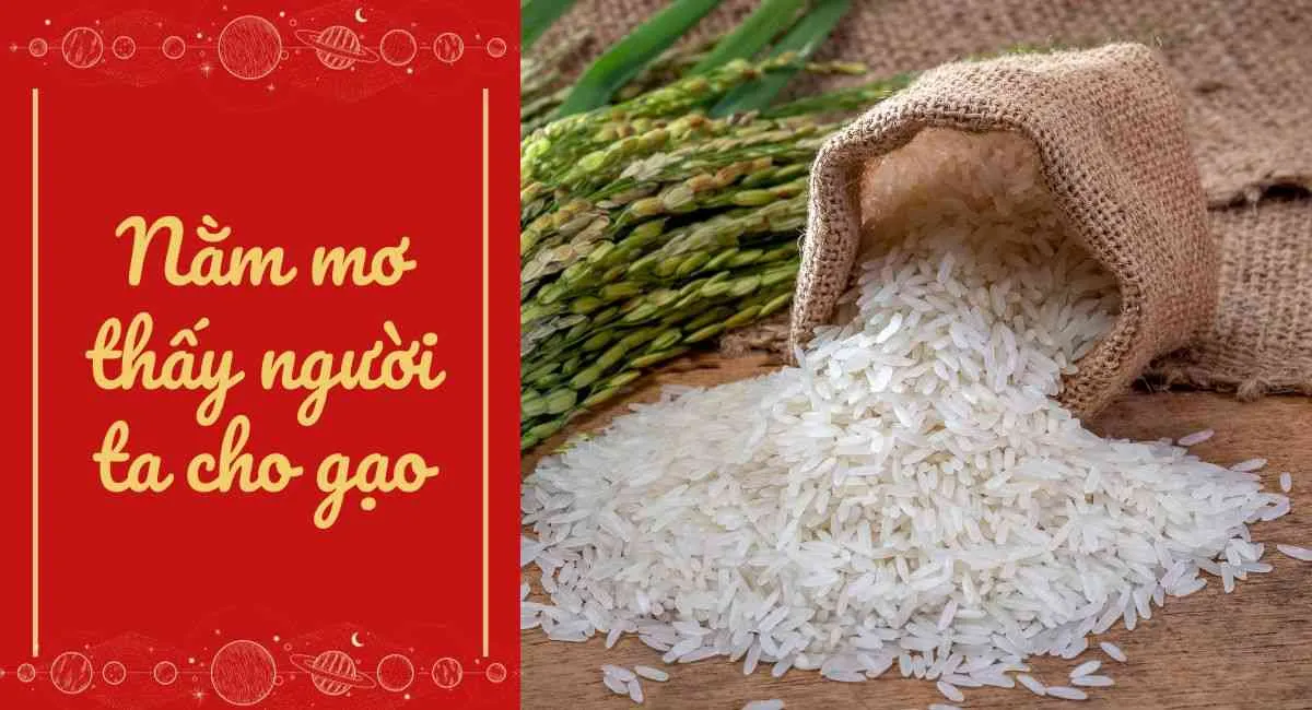 Nằm mơ thấy người ta cho gạo: Ăn nên làm ra, tài lộc cực đỏ nếu biết cách tận dụng