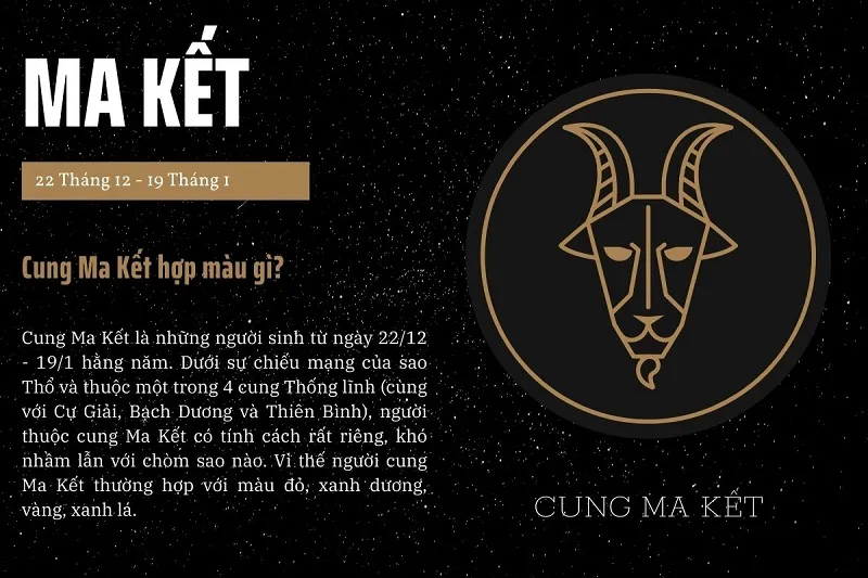 11/12 cung gì? 11/12 là cung Nhân Mã hay Ma Kết?