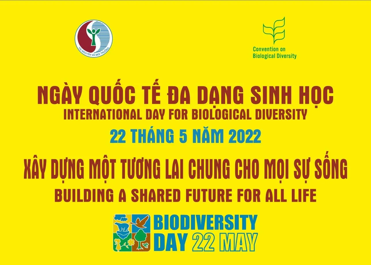 22/5 là ngày gì? Tránh xa những việc sau nếu không muốn rước họa vào thân