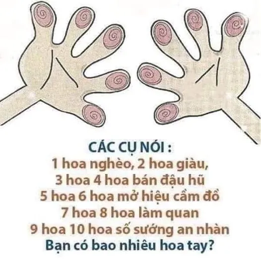 9 hoa tay có ý nghĩa gì: Nhìn hoa tay đoán ngay vận mệnh phú quý hay bần hàn