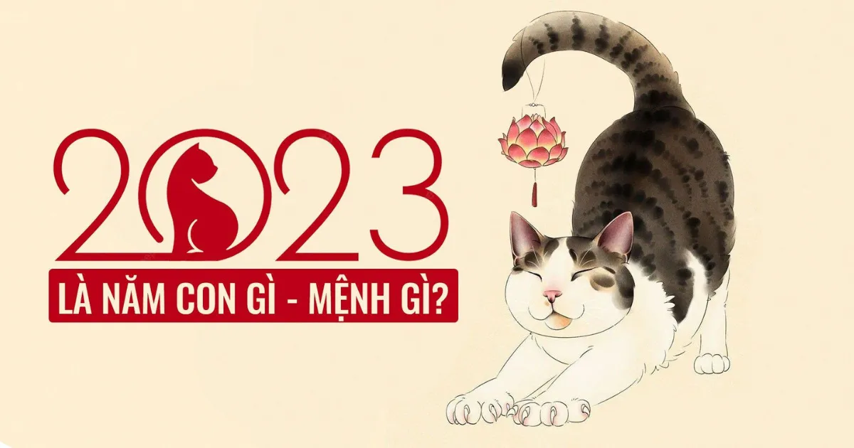 Bé trai sinh năm 2023 hợp màu gì? Cần tránh những màu khắc để khỏi rước họa vào thân