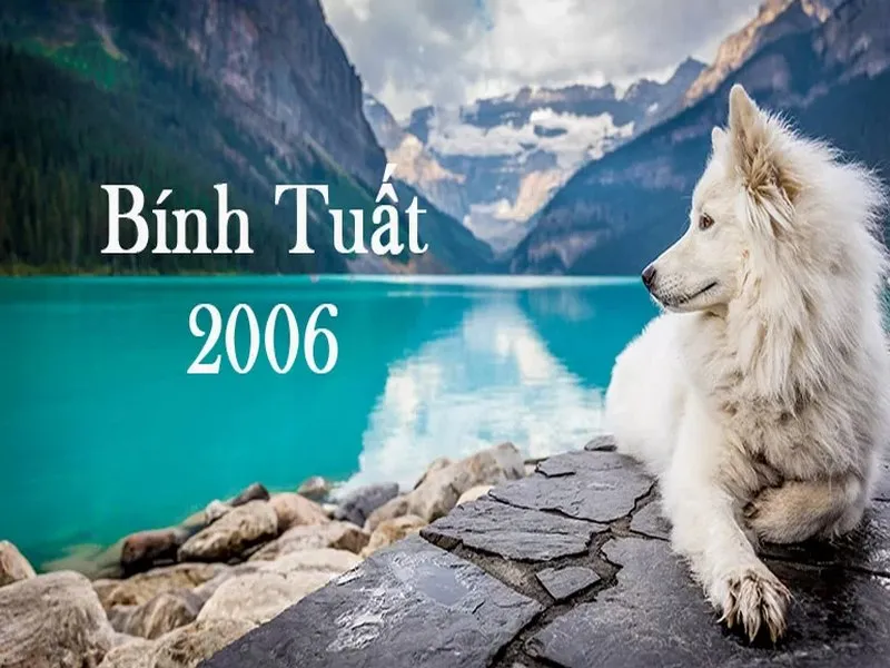 Bính Tuất 2006 Mệnh gì? 2006 Bao Nhiêu Tuổi Cung Gì, Hợp Màu Gì, Hợp Tuổi Nào?