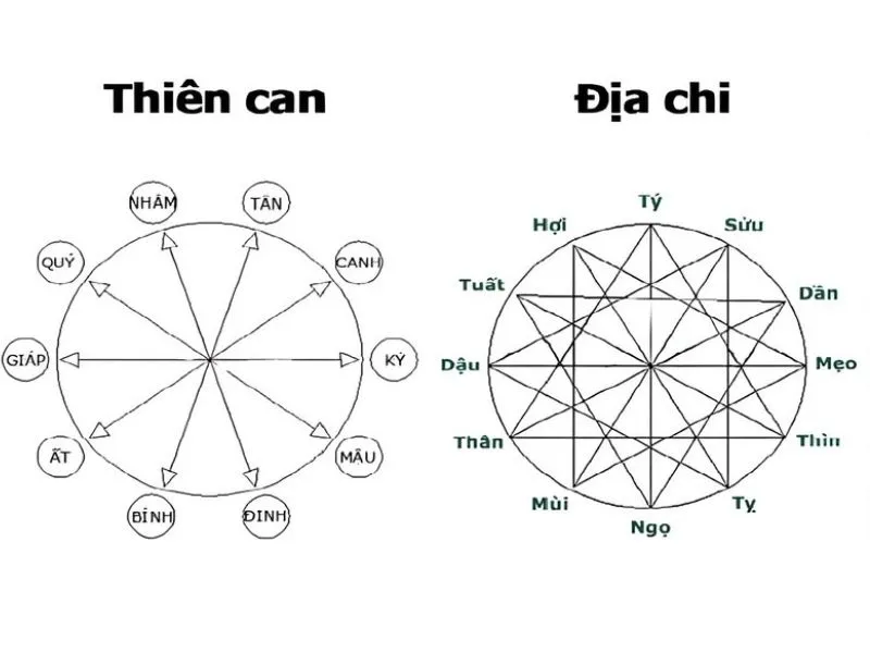 Cách tính tuổi theo năm sinh: Xác định tử vi mỗi người chưa bao giờ dễ đến thế