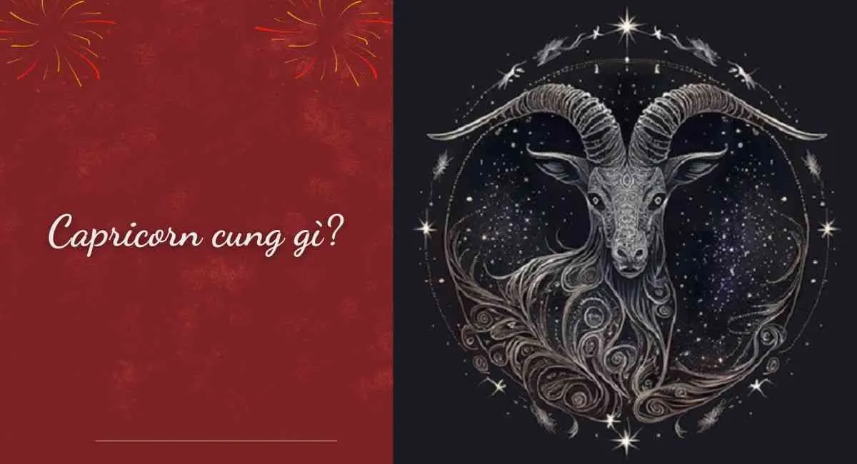 Capricorn cung gì? Điểm độc đáo trong tính cách & tình yêu của cung Capricorn