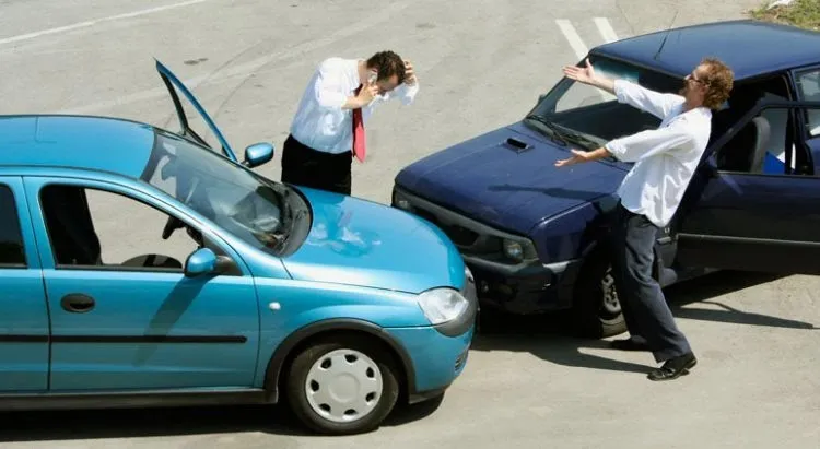 Chim lợn kêu báo hiệu điều gì? Sự thật về tiếng kêu của sự tang tóc, xui rủi