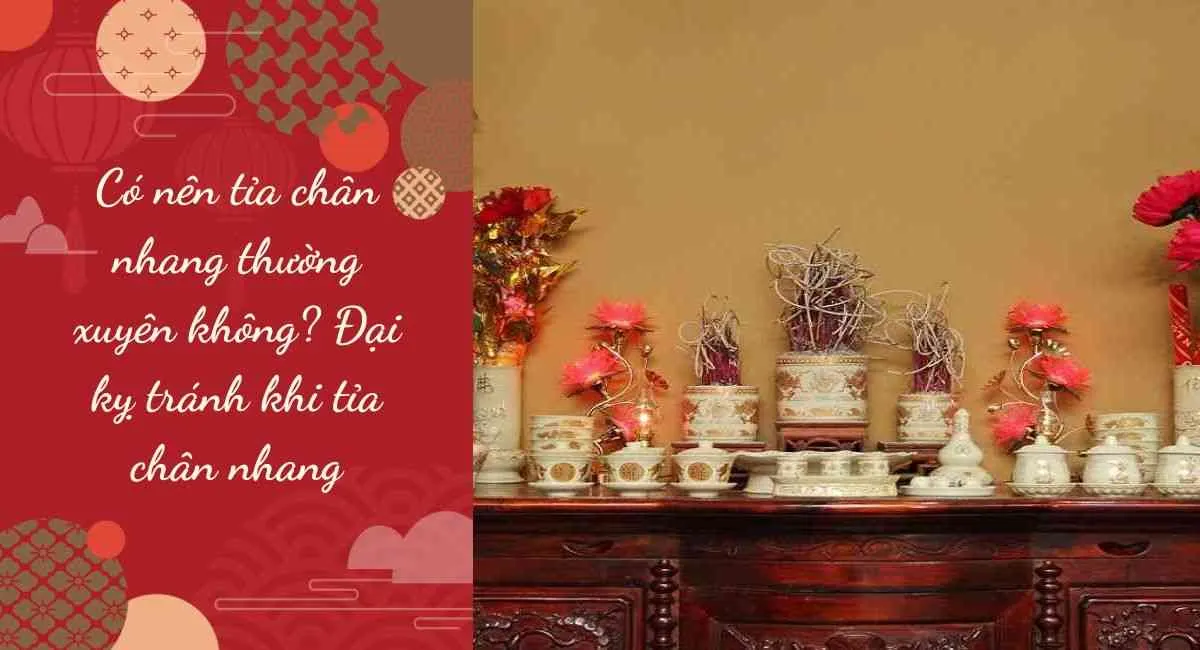 Có nên tỉa chân nhang thường xuyên không? Đại kỵ tránh khi tỉa chân nhang