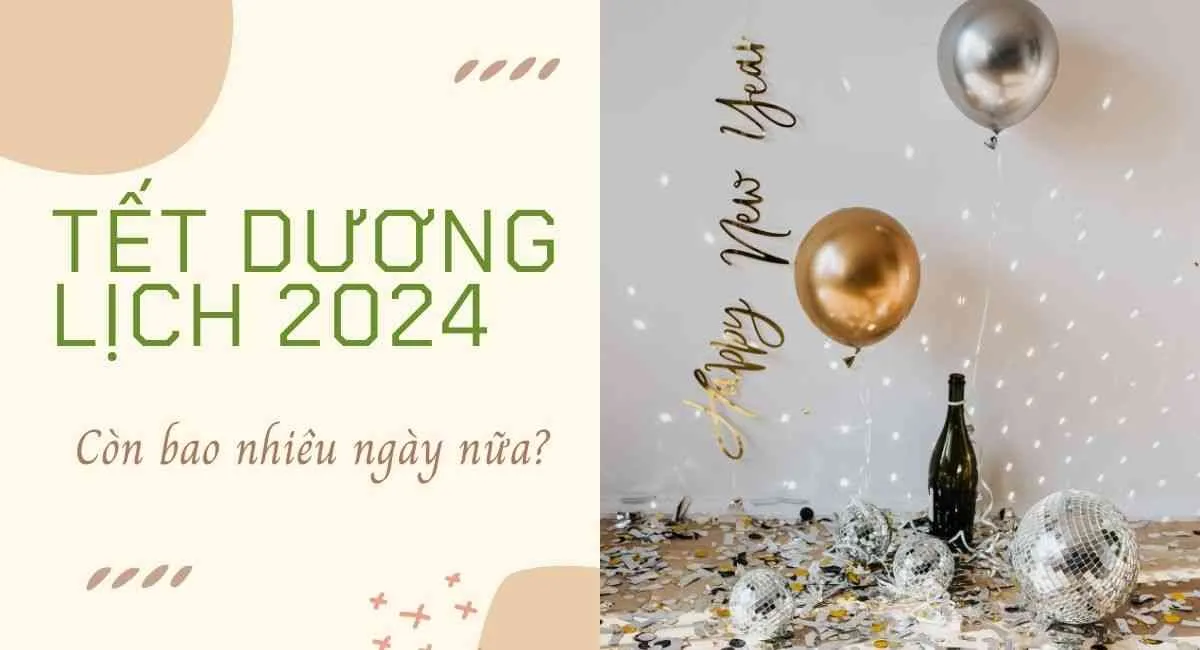 Còn bao nhiêu ngày nữa đến Tết Dương lịch 2024? Cập nhật lịch nghỉ Tết Dương sớm nhất