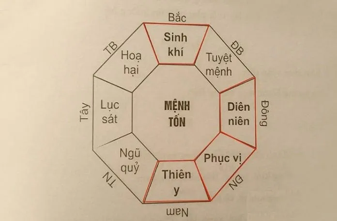 Cung Tốn tốt hay xấu? Bật mí cách xem tuổi vợ chồng lý tưởng nhất