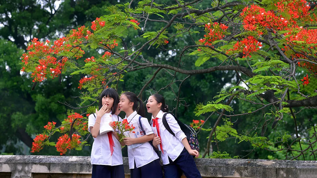 Giải mã giấc mơ đi học: Chú ý điều này để được thăng chức, tăng lương