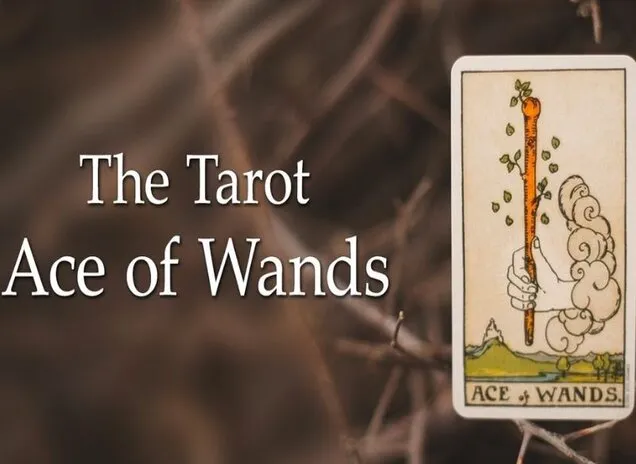 Giải mã lá bài ace of wands trong tình yêu: Khởi đầu mới, hy vọng mới