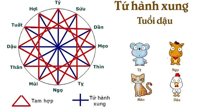 Giải mã tứ hành xung tuổi Dậu: Muốn hóa giải phải khắc cốt ghi tâm quy tắc này