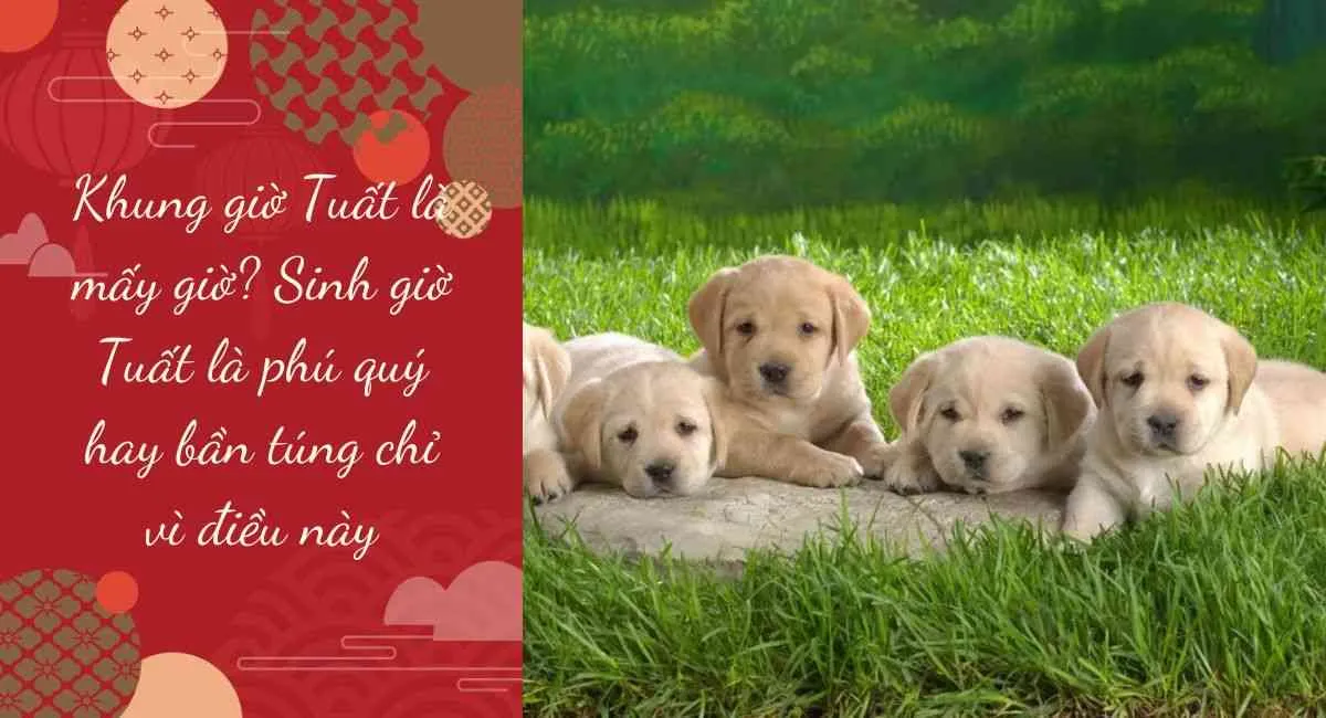 Khung giờ Tuất là mấy giờ? Sinh giờ Tuất là phú quý hay bần túng chỉ vì điều này