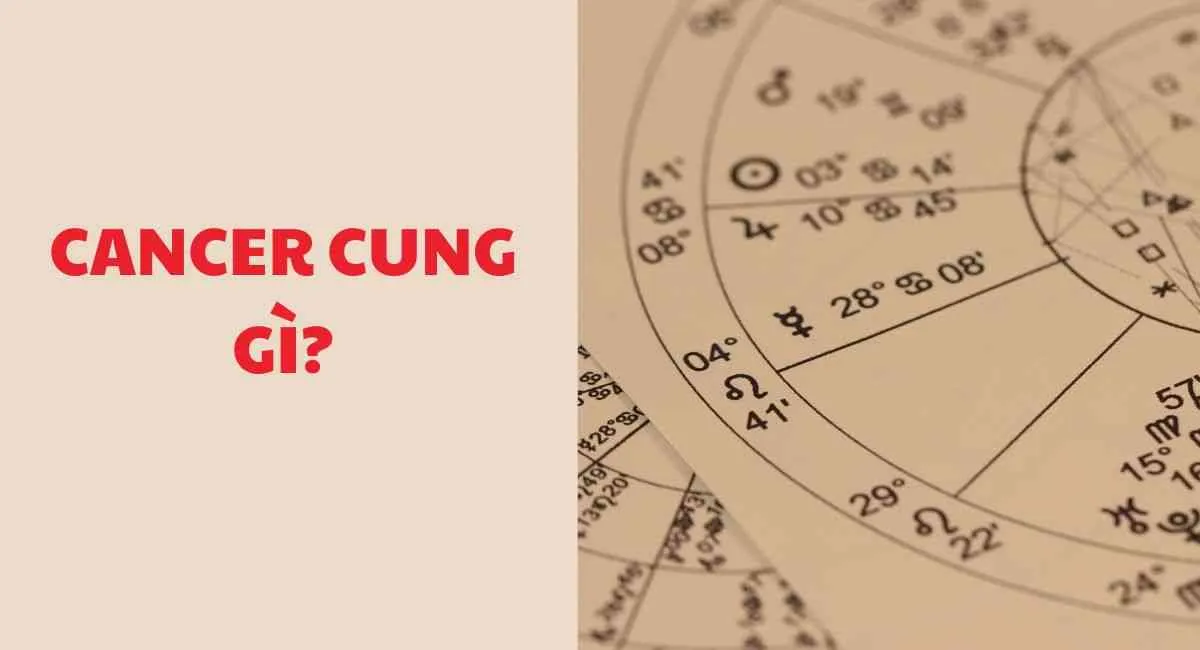 Lý giải cung Cancer cung gì? Cung hoàng đạo có tính cách “trong nóng, ngoài lạnh”