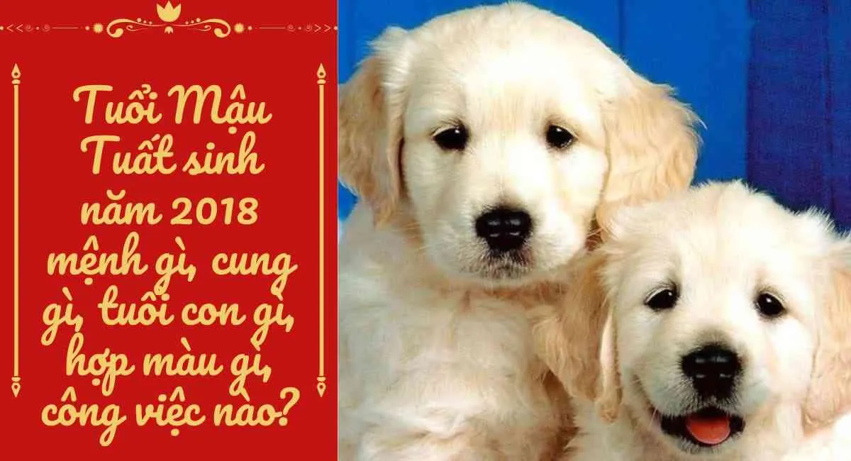 Mậu Tuất 2018 Mệnh gì? 2018 là năm con gì Cung Gì, Hợp Màu Gì, Hợp Tuổi Nào?