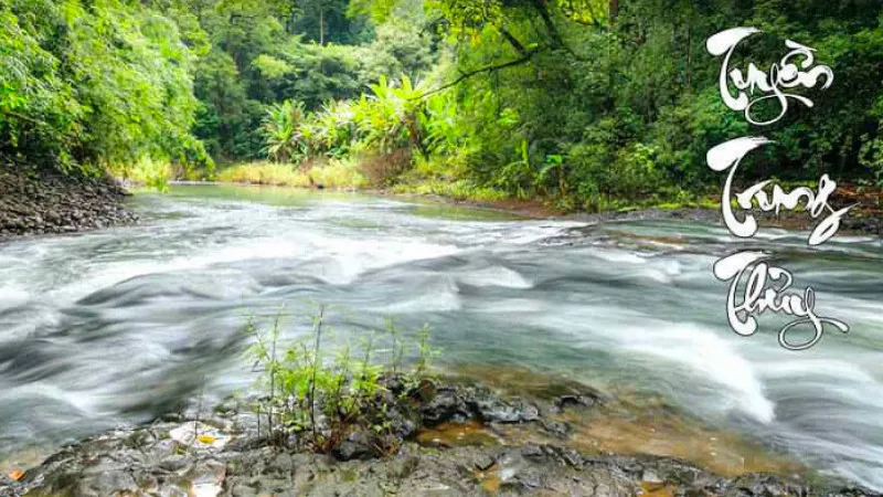 Mệnh Thủy hợp màu gì kỵ màu gì để đón tài lộc tránh tai ương? Năm sinh người mệnh Thủy