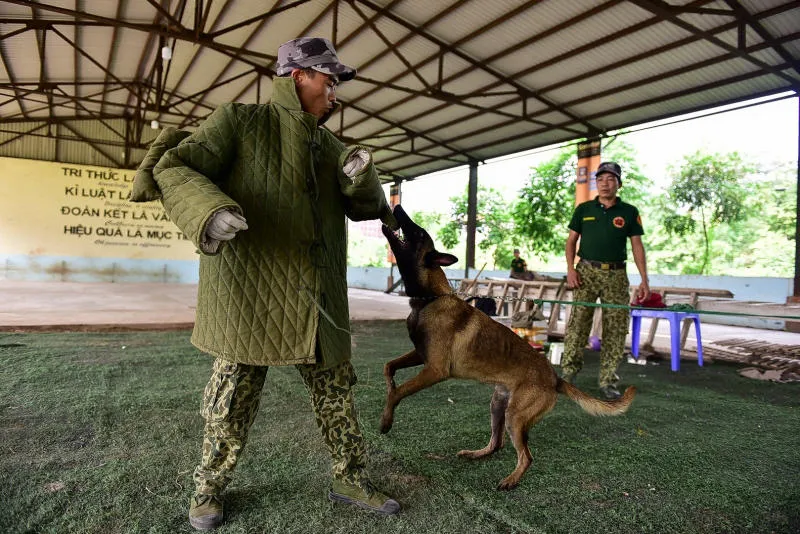 Mơ thấy mình thoát chết: Tài lộc gõ cửa, sự nghiệp lên nhanh như diều gặp gió