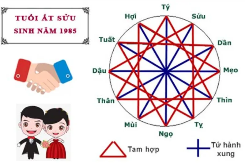 Nam, Nữ tuổi Ất Sửu sinh năm 1985 mệnh gì, tuổi con gì, hợp tuổi nào?