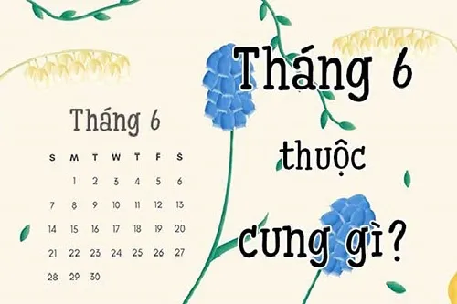 Ngày 30/6 cung gì? 30/6 là cung Song Tử hay Cự Giải?