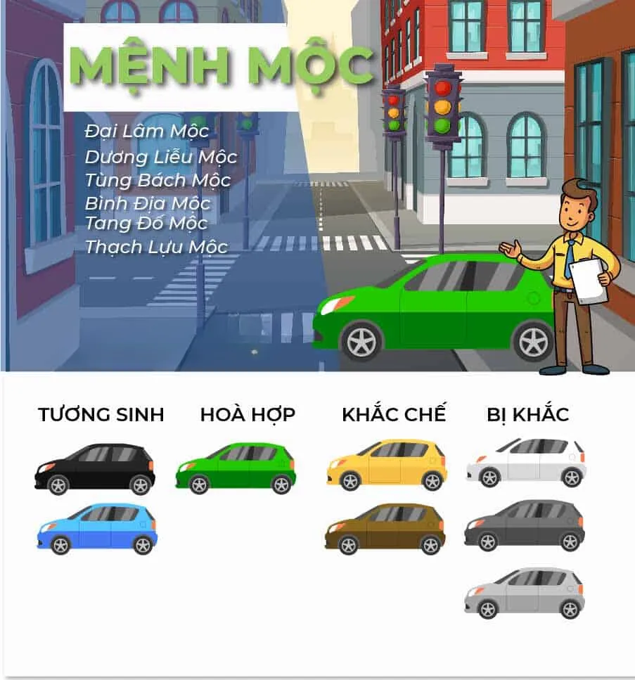 Người mệnh Mộc hợp xe màu gì? Nên chọn loại xe nào để gặp may mắn, thành công