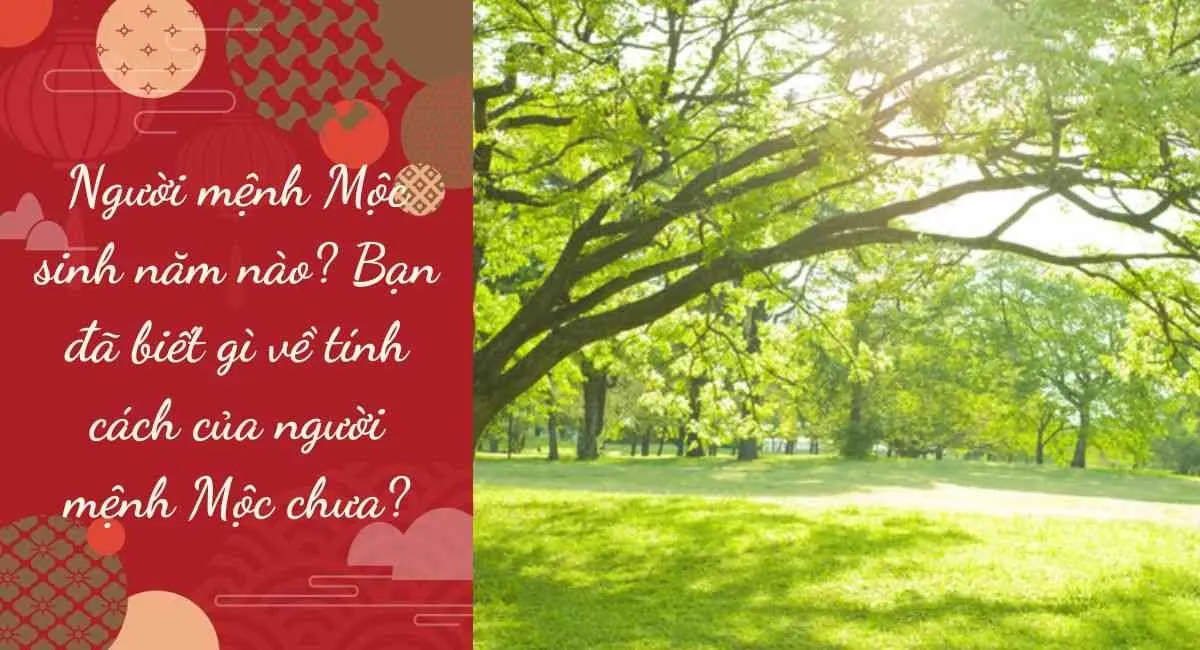 Người mệnh Mộc sinh năm nào? Bạn đã biết gì về tính cách của người mệnh Mộc chưa?