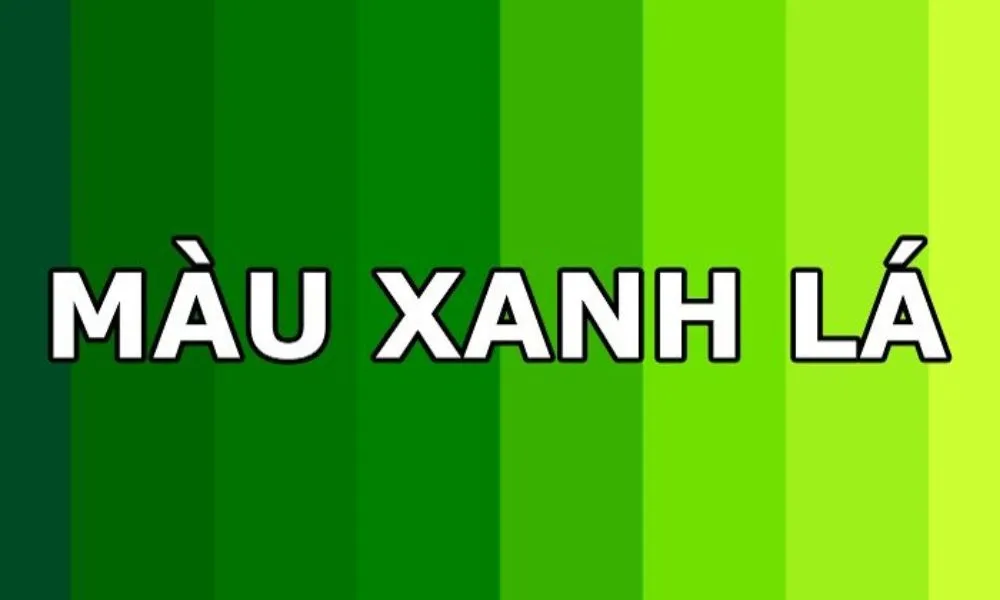 Người mệnh Mộc sinh năm nào tốt? Những năm mệnh Mộc sắp tới phù hợp để sinh con?