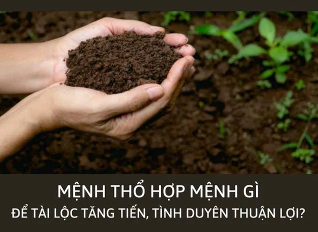 Người mệnh Thổ hợp mệnh gì? Khắc mệnh gì?