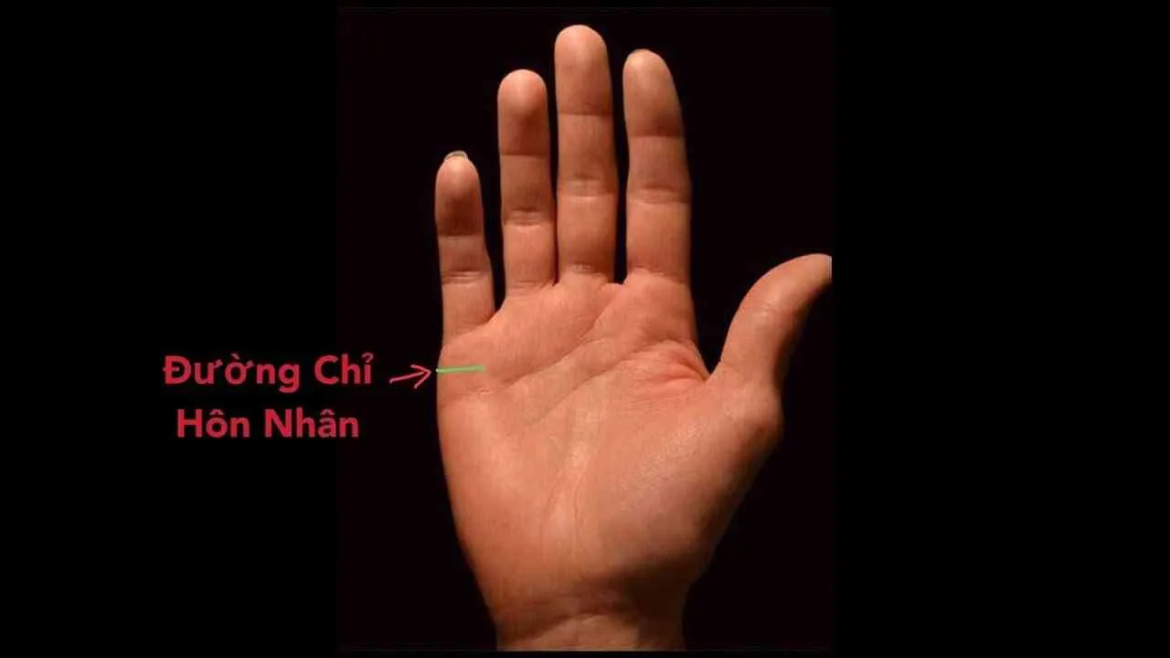 Nhận biết các đường chỉ tay hôn nhân: Viên mãn, hạnh phúc đến già nếu có đặc điểm này