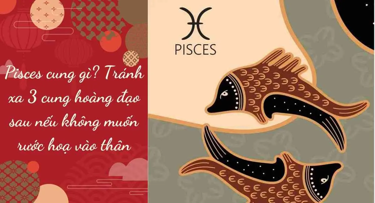 Pisces cung gì? Tránh xa 3 cung hoàng đạo sau nếu không muốn rước hoạ vào thân