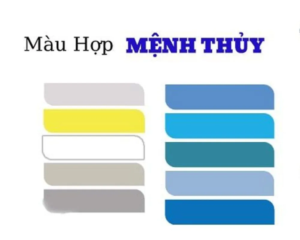 Quý Tỵ 2013 Mệnh gì? 2013 là năm con gì? Cung Gì, Hợp Màu Gì, Hợp Tuổi Nào?