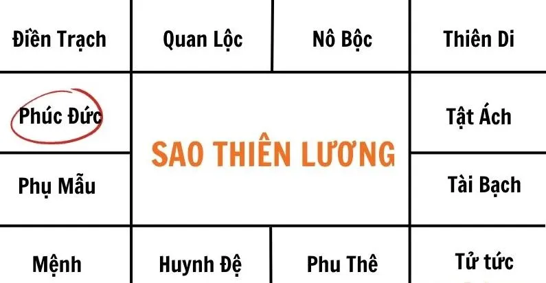 Sao Thiên Lương là gì? Thiên lương kết hợp 3 sao này đảm bảo “giàu nứt vách”