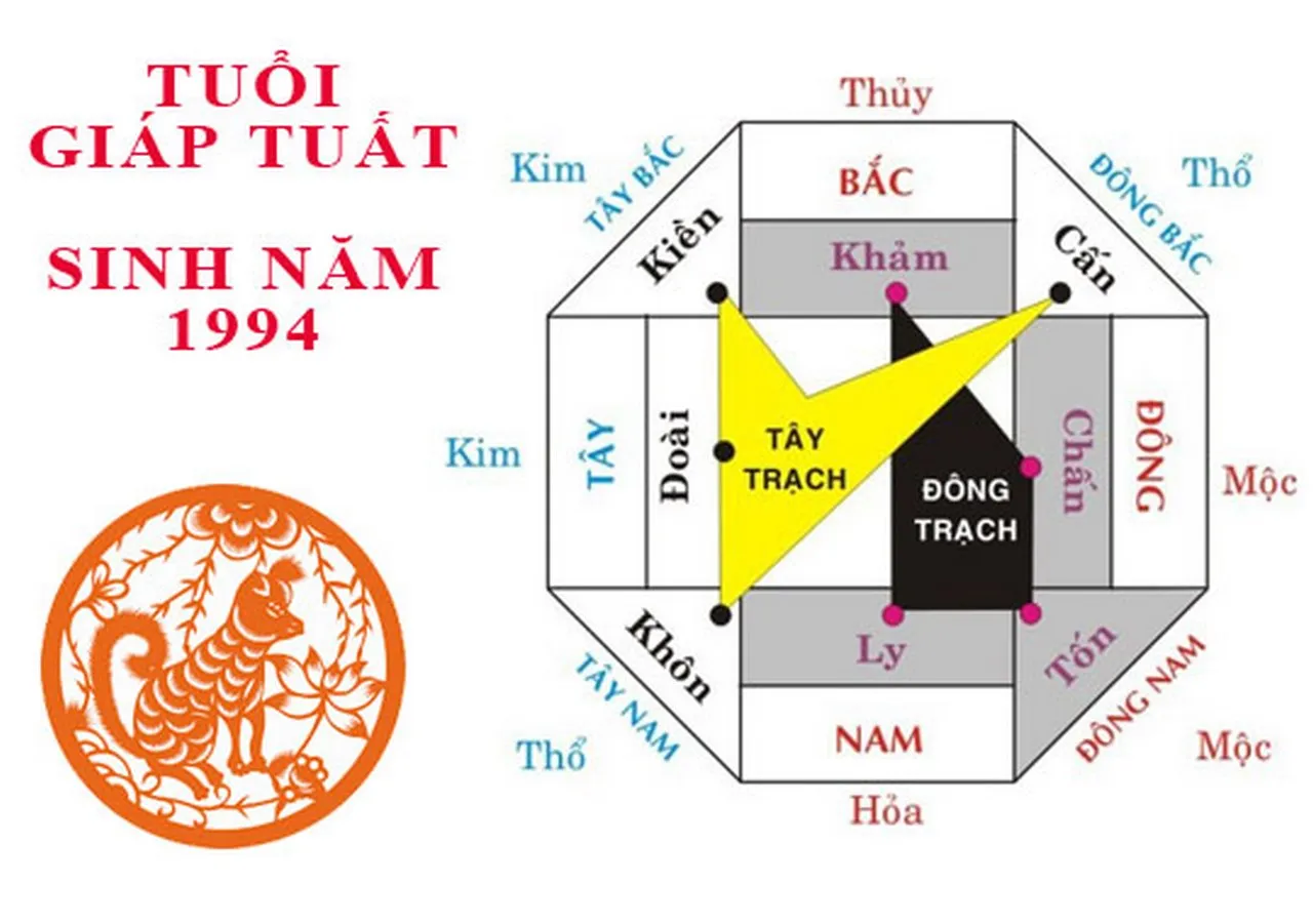 Sinh năm 1994 mệnh gì, cung gì? Dự đoán tử vi nam mạng, nữ mạng chi tiết nhất