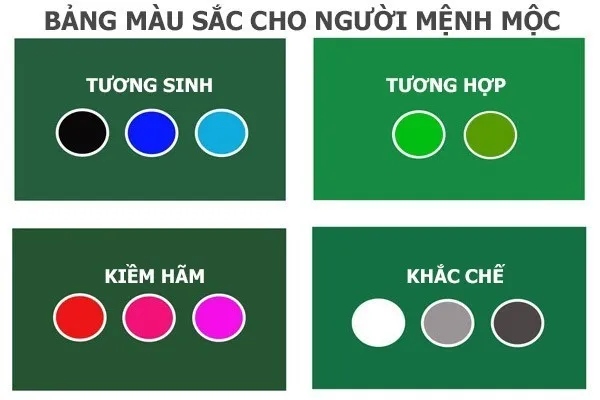 Sinh năm 2003 mệnh gì? Giải mã vận mệnh tuổi Quý Mùi 2003 từ năm 2024 đến năm 2030