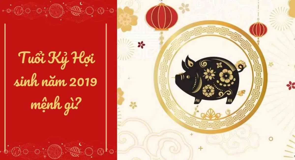 Sinh năm 2019 mệnh gì, tuổi gì, hợp màu gì, hợp tuổi gì, công việc gì?