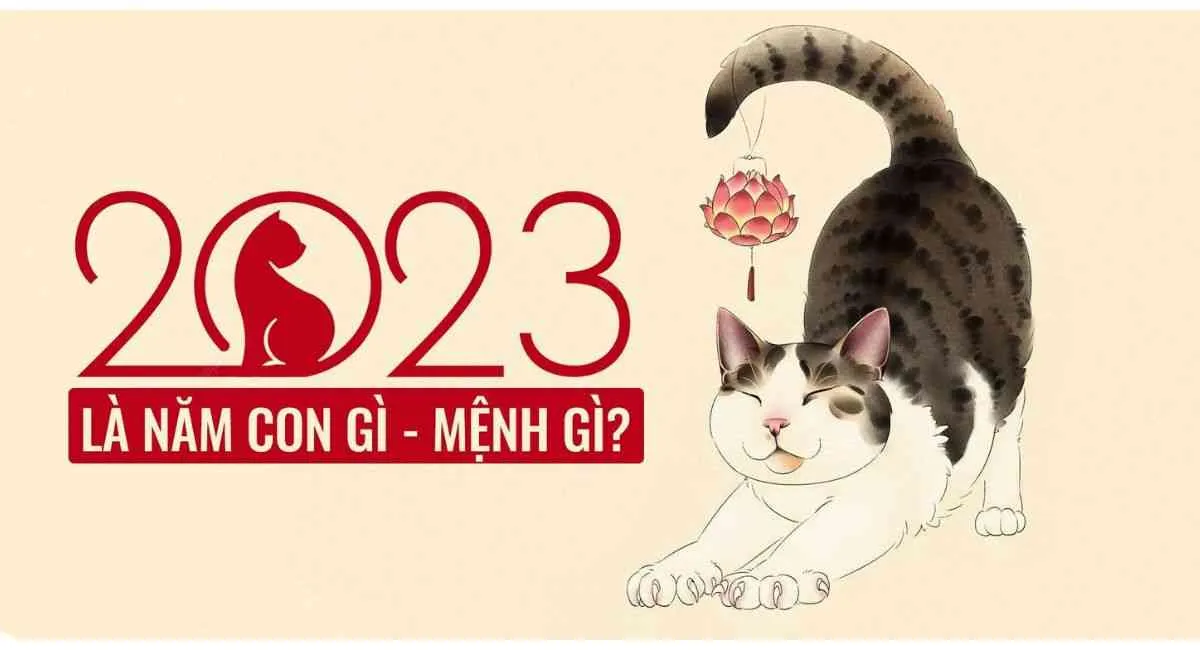 Sinh năm 2023 là năm con gì? Lưu ngay 3 điều này nếu bạn sinh con 2023