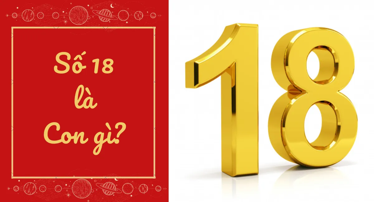 Số 18 Là Con Gì? Bạn Có Sở Hữu Số 18 Mang Lại Công Danh Và May Mắn?