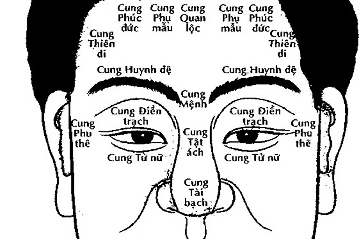 Sở hữu nốt ruồi ở cung Phu Thê chắc chắn cả đời vượng tài, muốn nghèo cũng khó