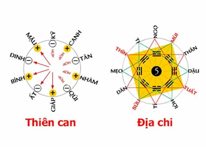 Soi tử vi tuổi Nhâm Tý kết hôn năm nào để hạnh phúc viên mãn?