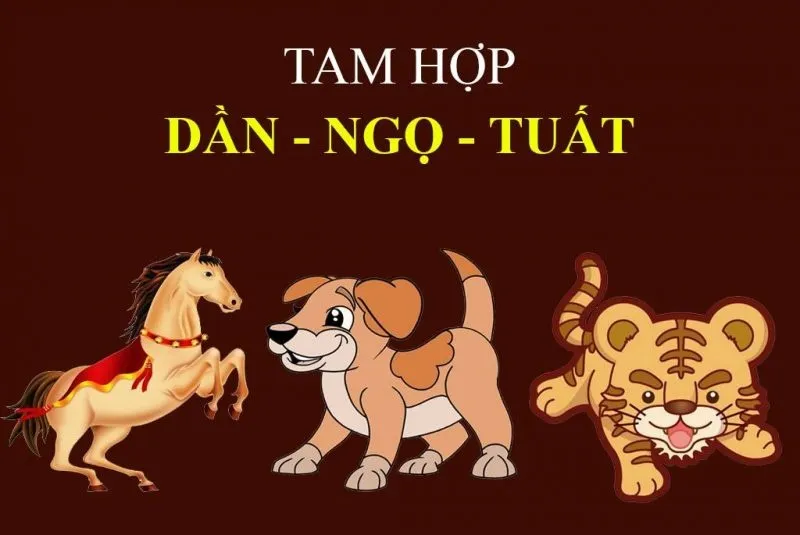 Tam hợp với tuổi Ngọ: Đồng hành cùng người tuổi này, cả đời sung sướng