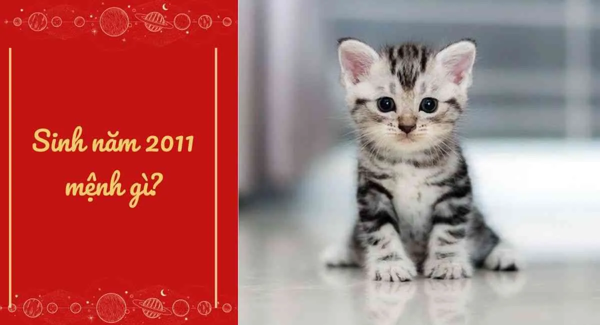 Tân Mão 2011 Mệnh gì? 2011 bao nhiêu tuổi? Cung Gì, Hợp Màu Gì, Hợp Tuổi Nào?