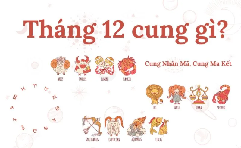 Tháng 12 cung gì? Tính cách, định hướng nghề nghiệp của người sinh tháng 12