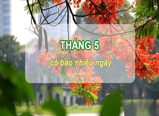 Tháng 5 có bao nhiêu ngày lễ? Tận dụng ngày có vận khí tốt để làm việc trọng đại