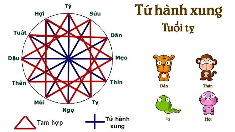 Tìm hiểu về tứ hành xung tuổi Tỵ: Nắm chắc những điều này kẻo hoạ vô đơn chí