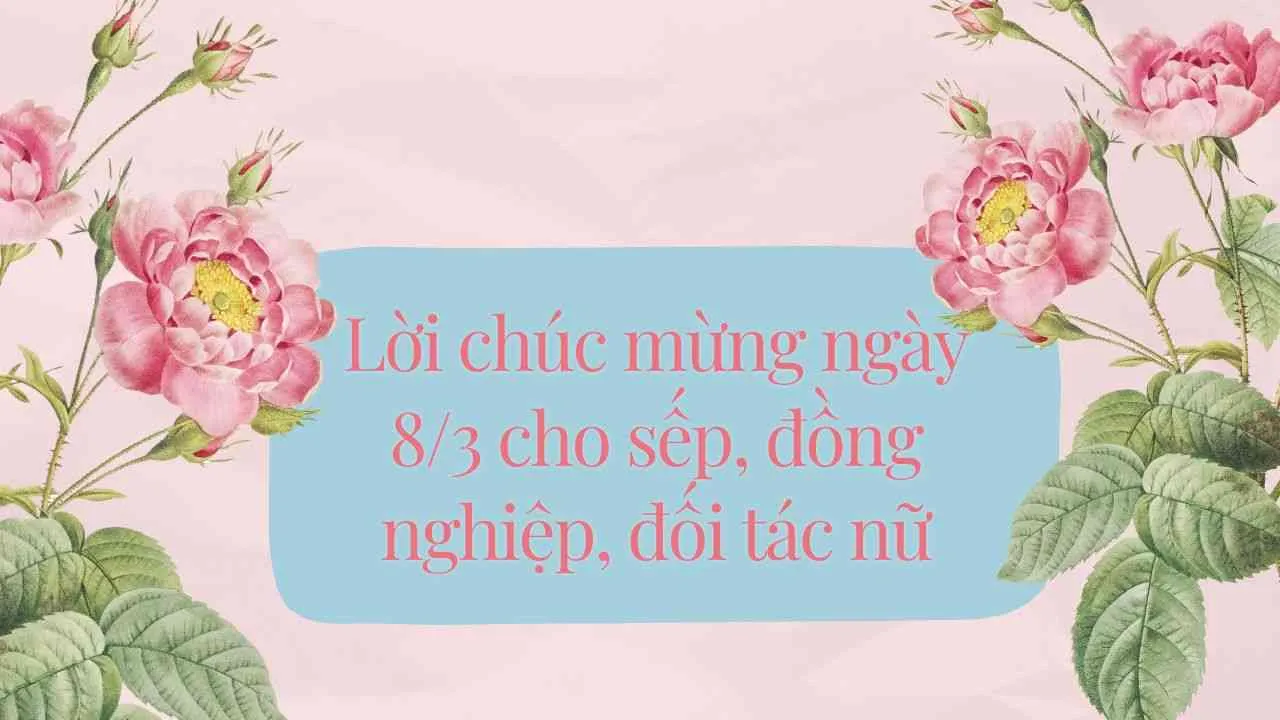 Top lời chúc mừng ngày 8/3 cho đồng nghiệp, sếp, đối tác nữ hay và độc đáo nhất