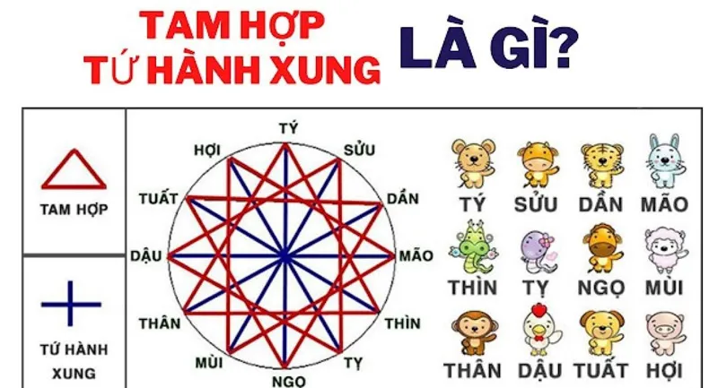 Tứ hành xung tuổi Mão là những tuổi nào? Cẩn thận kẻo tài lộc tiêu tán, họa ngập nhà