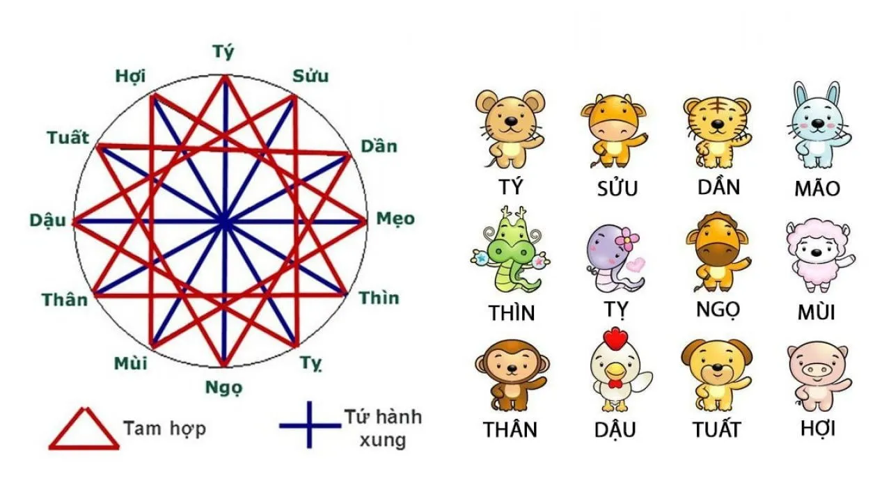 Tứ hành xung tuổi Mùi là những tuổi nào? Những cách hóa giải không ai muốn tiết lộ