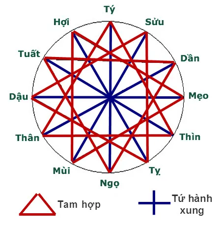 Tứ hành xung tuổi Tý là những tuổi nào? Xem ngay để biết họa mà tránh