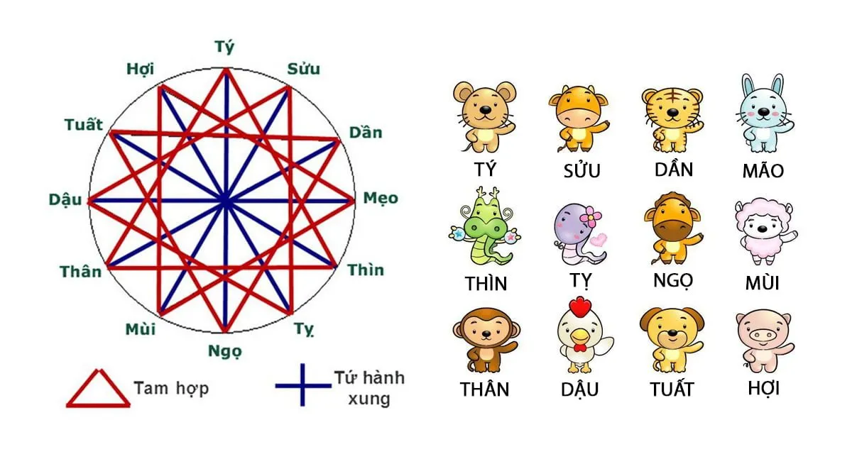 Tứ hành xung tuổi Tý là những tuổi nào? Xem ngay để biết họa mà tránh