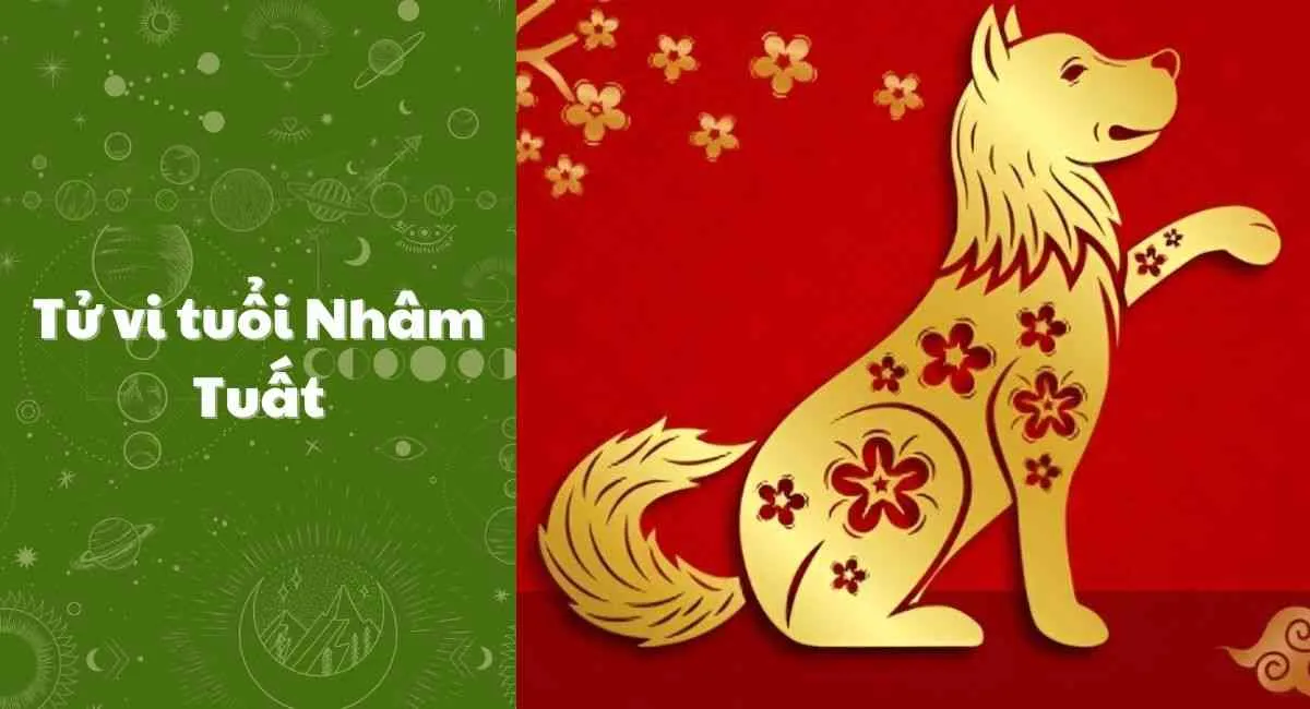 Tử vi 2024 tuổi Nhâm Tuất: Nam xuôi dòng, nữ khởi sắc, cẩn trọng 2 tháng tai ương