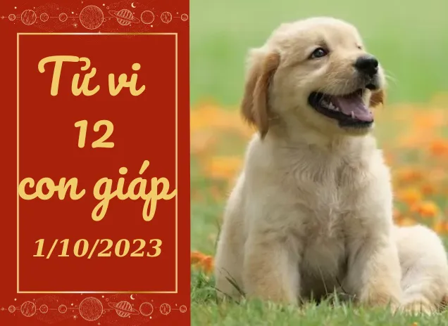 Tử vi hôm nay 1/10/2023 của 12 con giáp: Sửu may mắn, Tuất khỏe mạnh