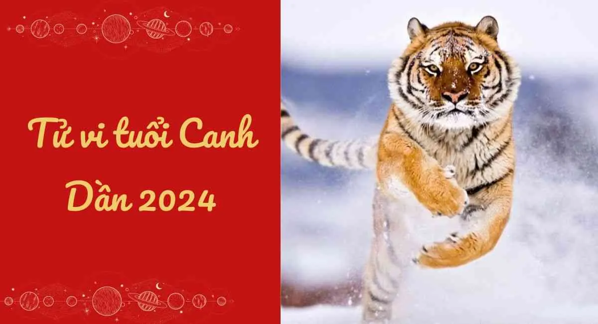 Tử vi tuổi Canh Dần 2010 năm 2024 nam mạng, nữ mạng: Thi cử thuận lợi